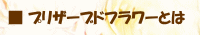 プリザーブドフラワーについて